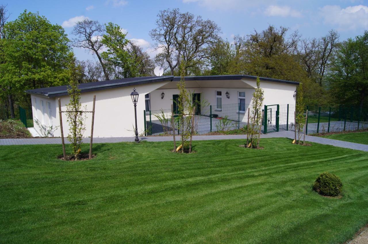Ferienwohnungen Rohrkopf Ballenstedt Exteriér fotografie